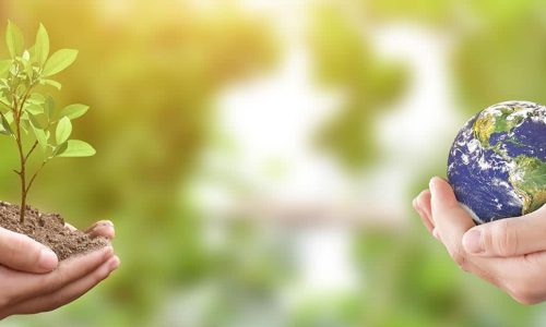 Responsabil de mediu